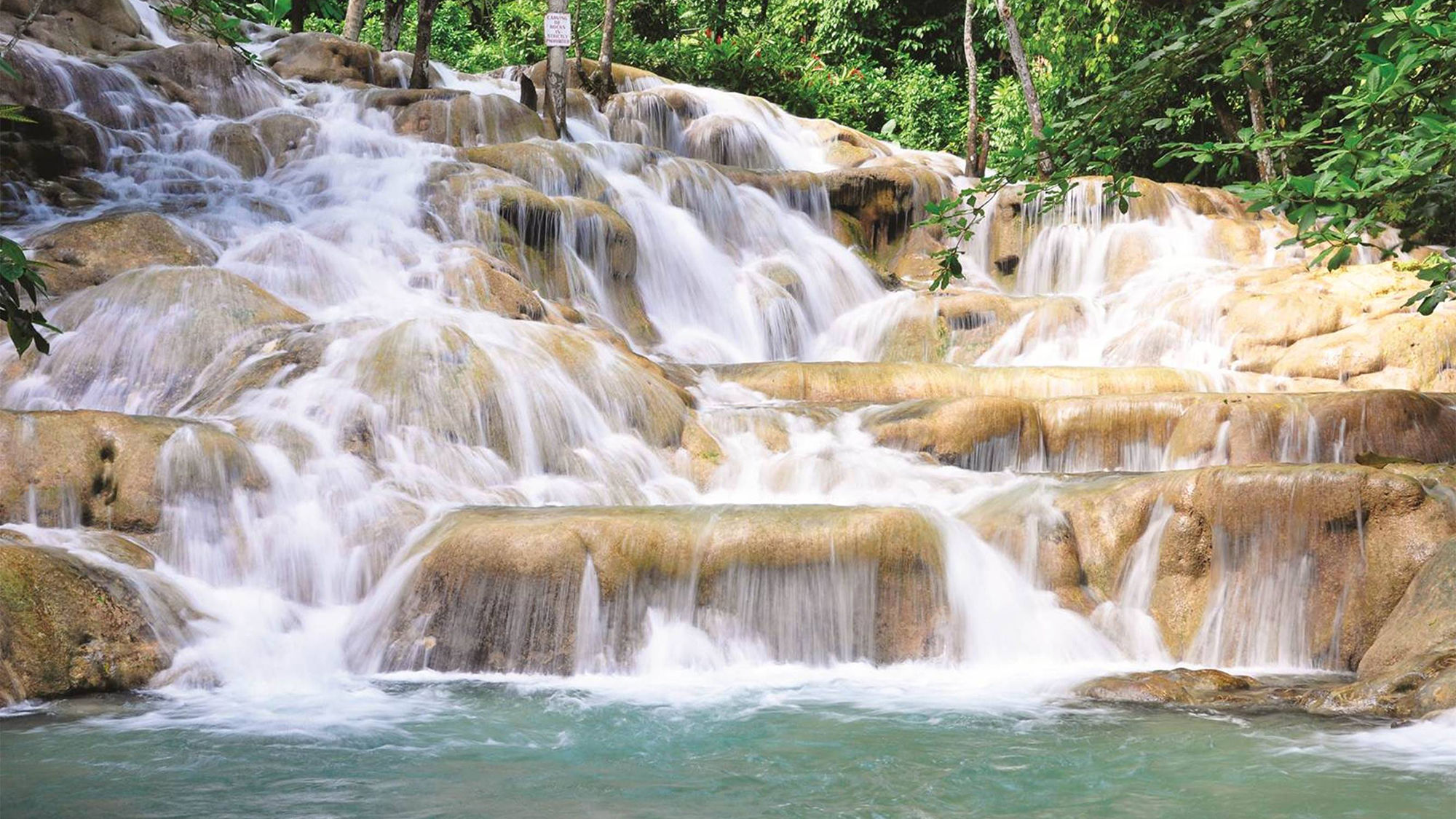 Central Gardens opens at Dunn's River Falls