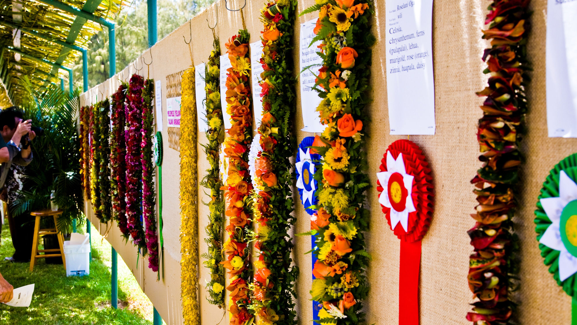Many Lei Day festivals feature lei making competitions.