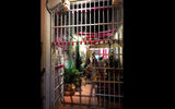 The just-opened Interno restaurant, which is located in a former prison yard at the San Diego women's prison inside Cartagena's Old City. At the restaurant, inmates learn culinary and services skills.