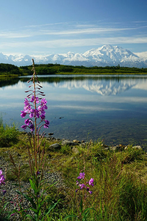 Guests will have a chance to fish in Wonder Lake in Denali National Park and Preserve. Guests will have a chance to fish in Wonder Lake in Denali National Park and Preserve.