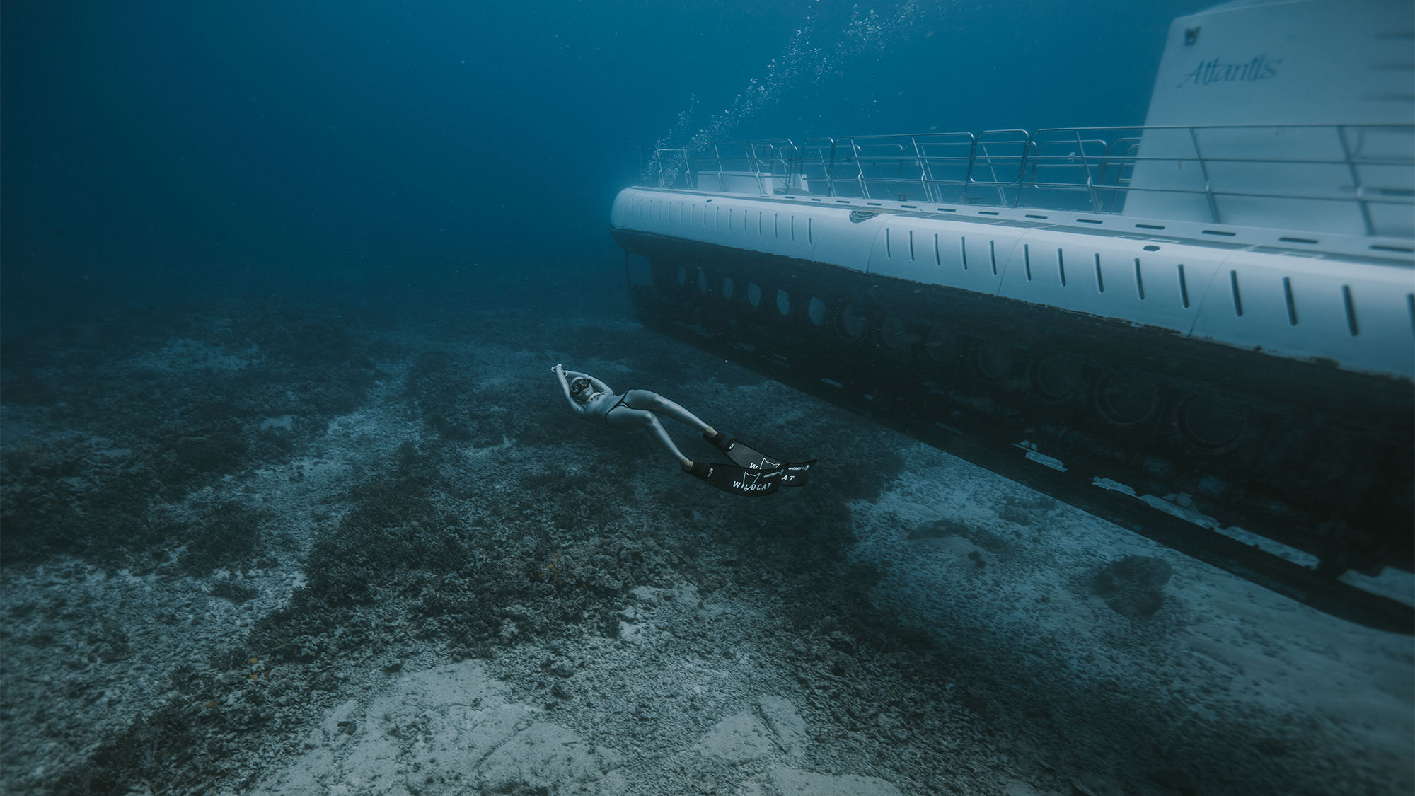 Oahu has several shipwrecks that can be explored when freediving.