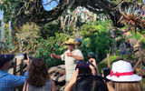 One of the lead imagineers who created Pandora, Joe Rohde, introduces media to Disney's newest land.