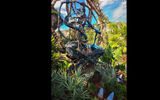 There are no signs in Pandora, only totems such as this shaman to indicate the way to the Na'vi River Journey attraction.