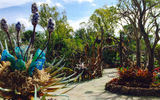 Pandora is meant to be a real place where you can have your own adventure.