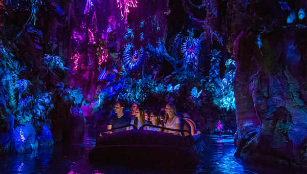 The Na'vi River Journey is a boat ride through a bioluminescent forest.