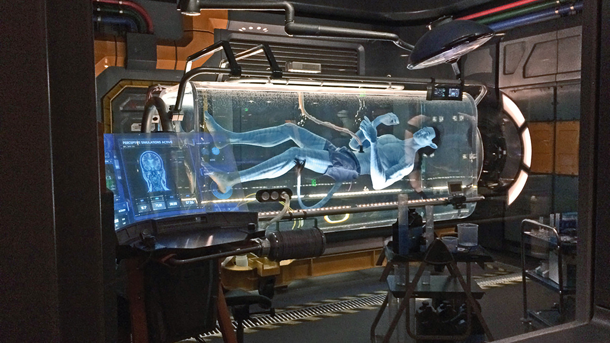 Disney World's Pandora: An immersive sensory experience