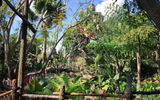 The first glimpse of the floating mountains as guests enter the Valley of Mo'ara, one place on Pandora working to restore habitat that had once been destroyed.