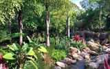 Imagineers blended real and Pandora plants with the vision of how the live ones will grow and change the landscape over time.