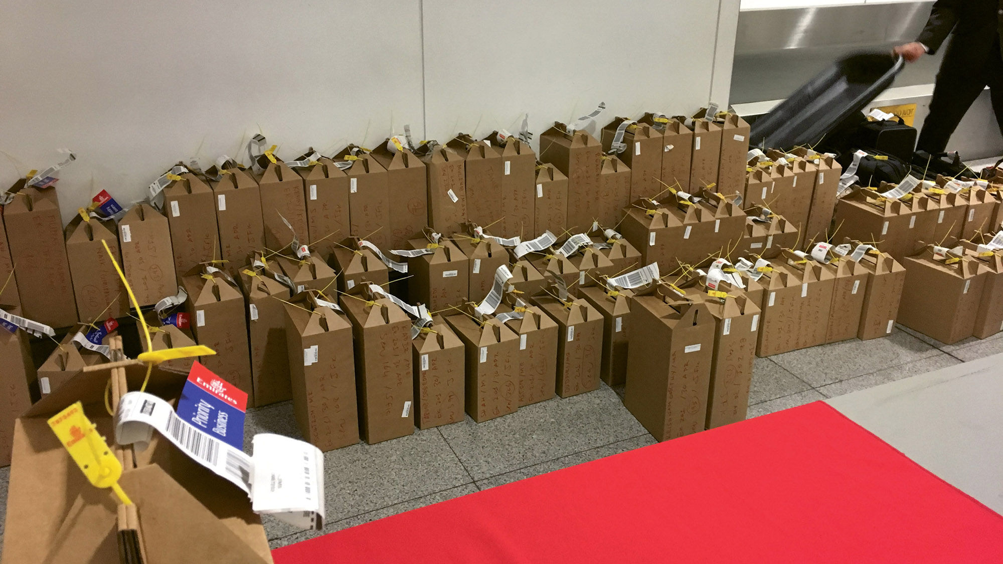 Boxes of electronics, mostly laptops, being lined up for retrieval at New York JFK Airport from an Emirates flight originating in Dubai.
