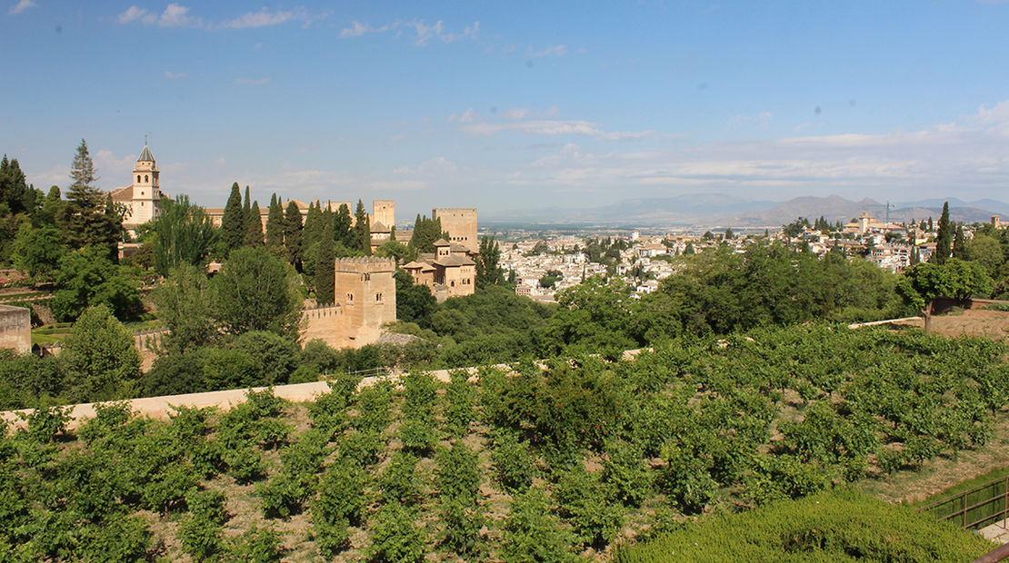 Dispatch, Spain: Upward and onward