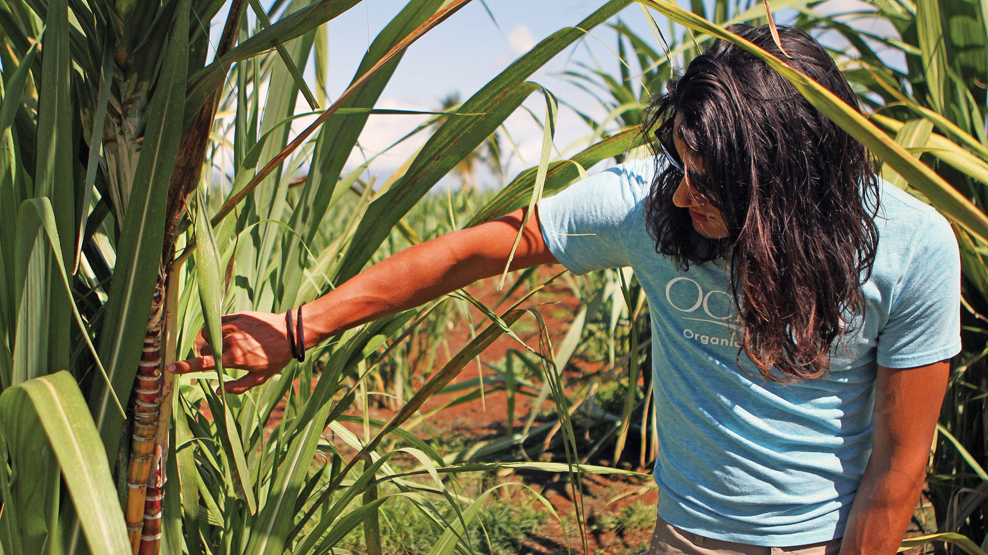 The Ocean Vodka Organic Farm and Distillery makes vodka and rum from sugar cane and desalinated water from the ocean.