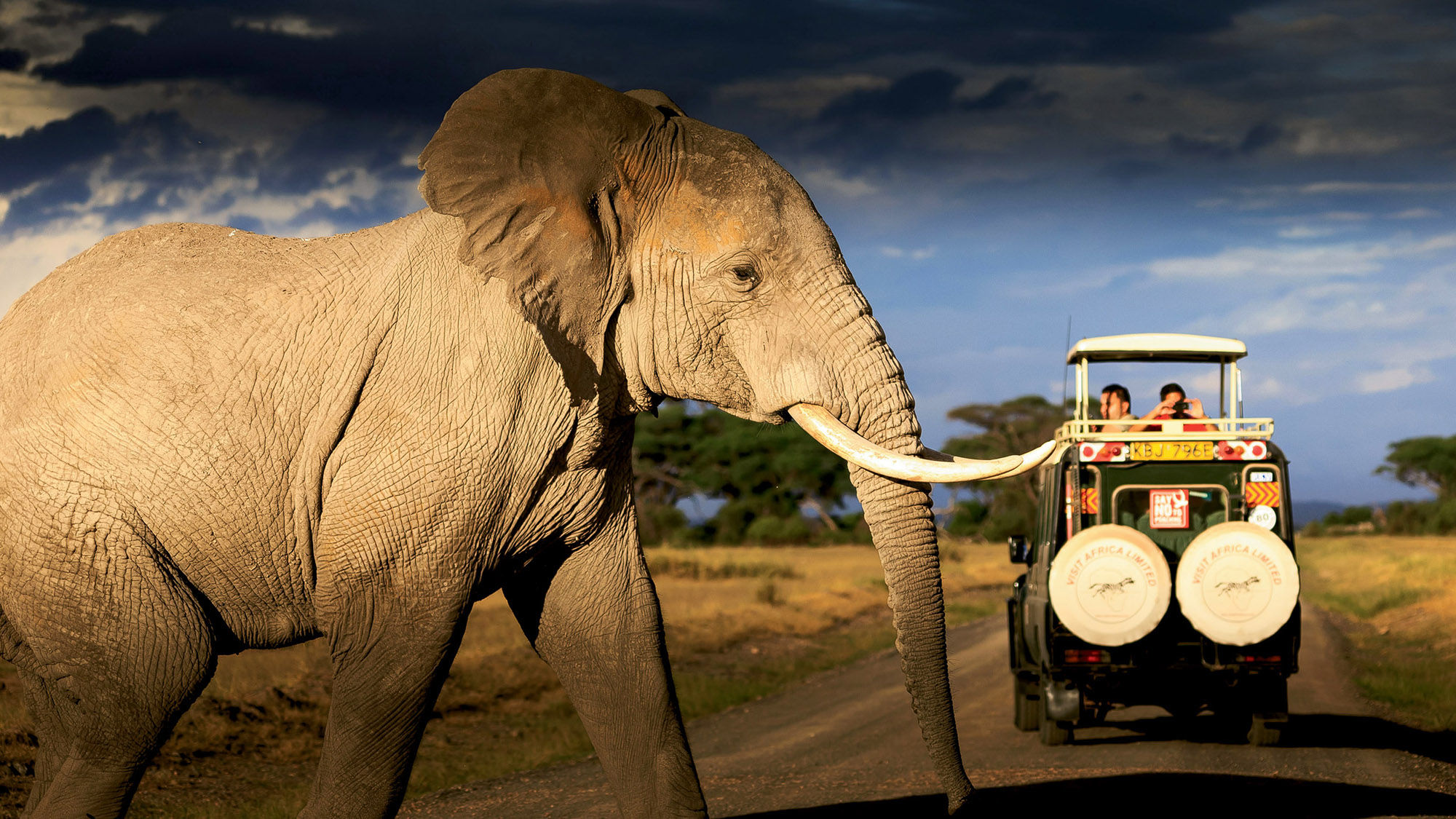 An elephant in the Amboseli Game Reserve.