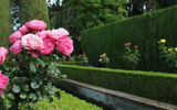 Gardens of the Alhambra palace complex in Granada.