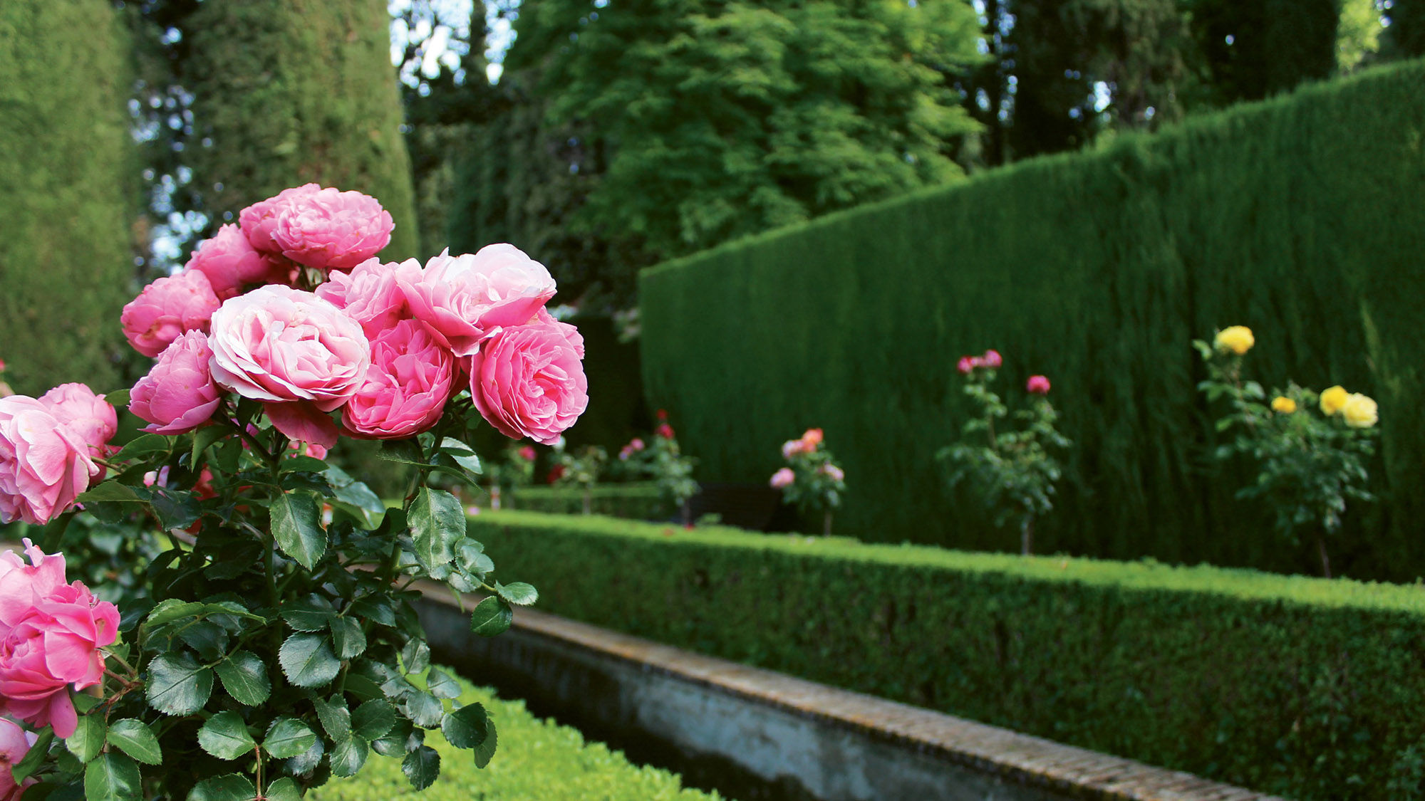 The Generalife Gardens of the Alhambra fortress complex in Granada, Spain.