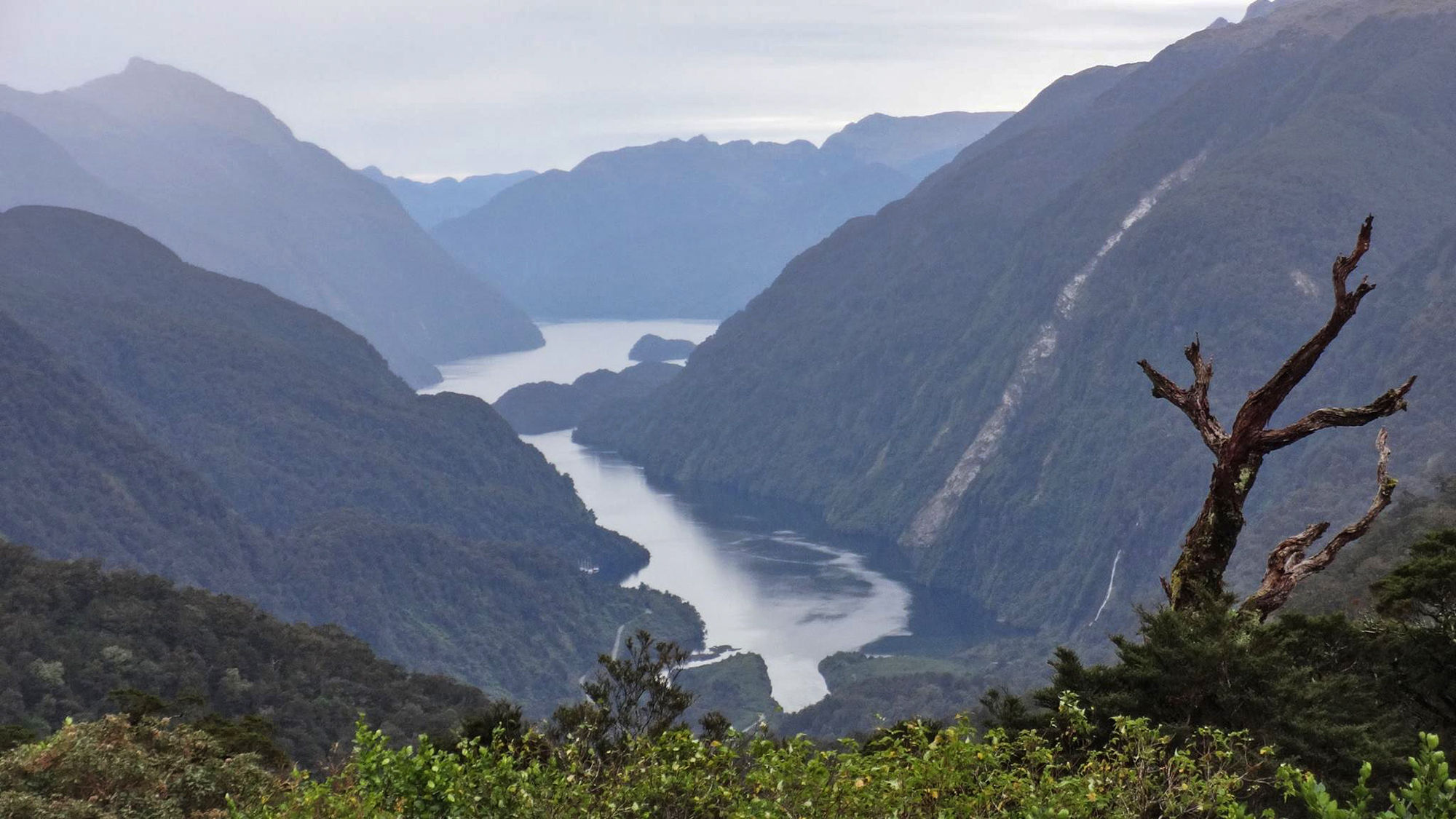 A view of Doubtful Sound from Wilmot Pass road.