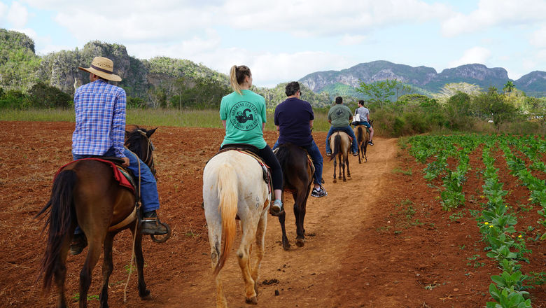 Travelers will take horseback rides through the Vinales Valley.