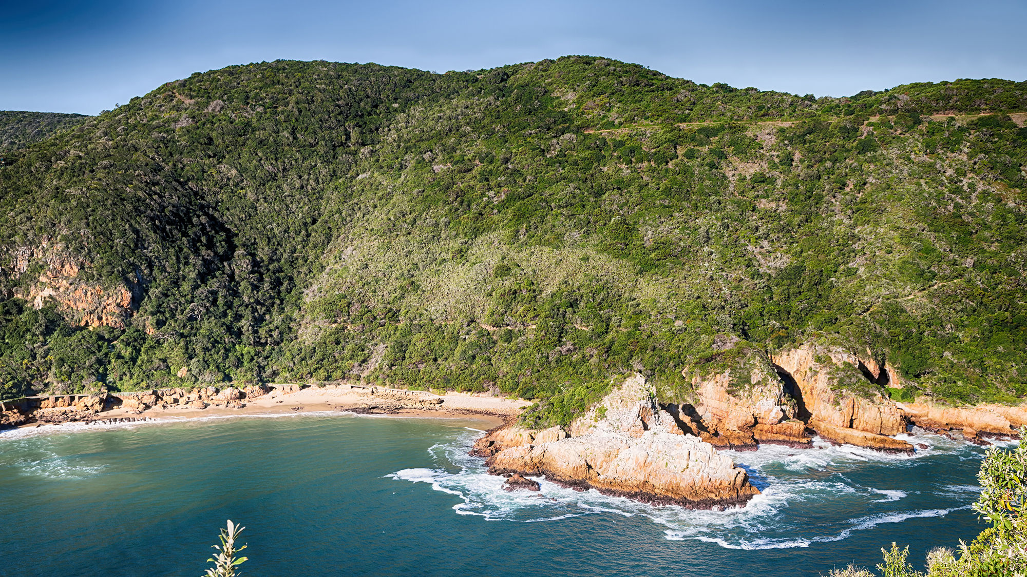 Tsitsikamma Reserve, part of South Africa's Garden Route.