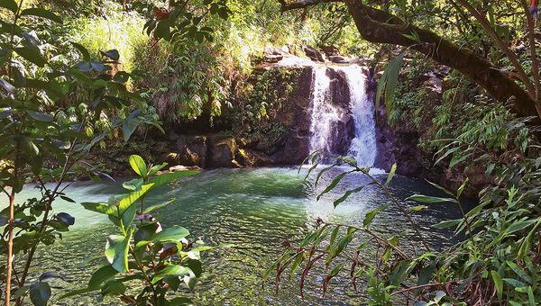 A waterfall-fed swimming hole in Hana, on the eastern tip of Maui. The town is a 64-mile drive from the island’s Kahului Airport. A waterfall-fed swimming hole in Hana, on the eastern tip of Maui. The town is a 64-mile drive from the island’s Kahului Airport.
