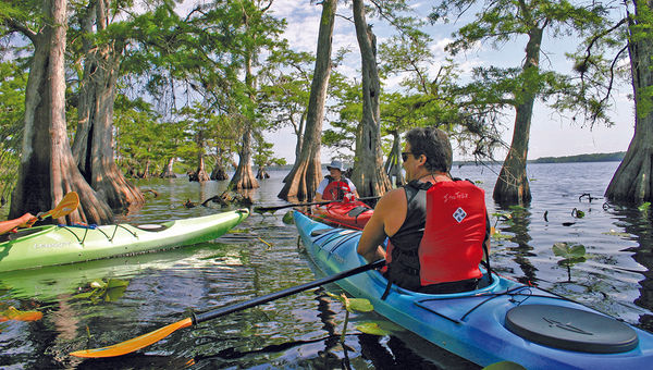 Visit Florida avoided having its budget slashed by the state legislature after a record 112 million travelers came to the Sunshine State in 2016, visiting sites such as Miami and taking part in activities like kayaking on Lake Norris (pictured).