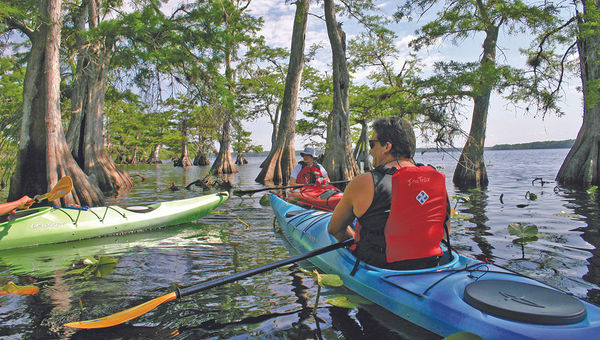 Visit Florida avoided having its budget slashed by the state legislature after a record 112 million travelers came to the Sunshine State in 2016, visiting sites such as Miami and taking part in activities like kayaking on Lake Norris (pictured).