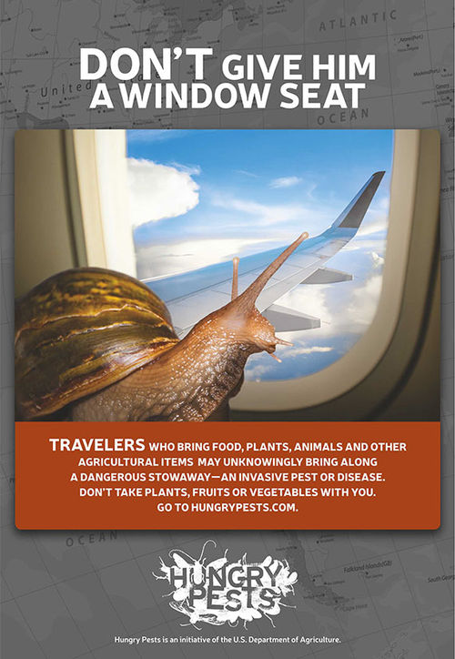 U.S. warns travelers about introducing invasive pests