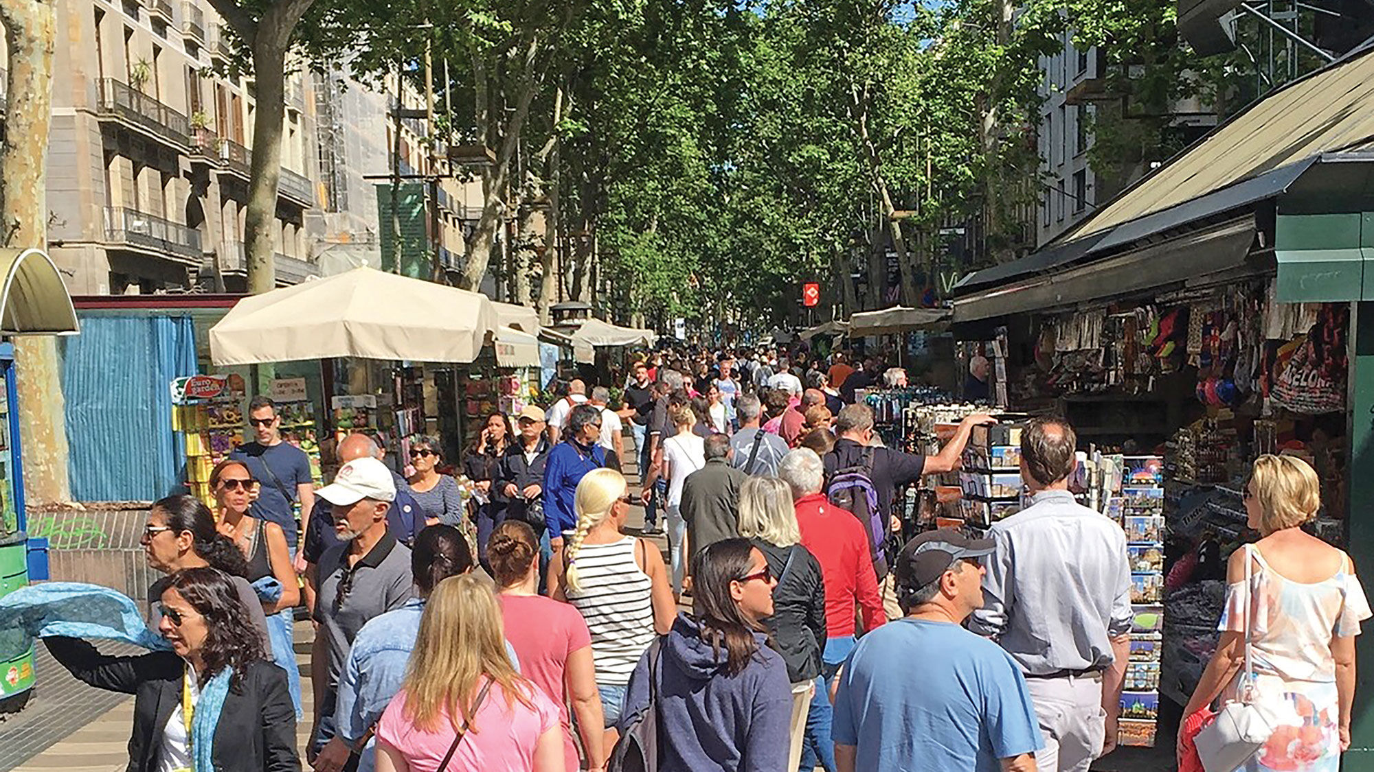 Las Ramblas, the tree-lined pedestrian mall.