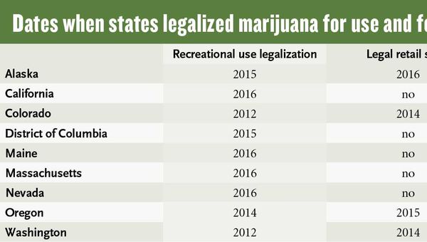 Hotels, DMOs demur on pot tourism, while upstart businesses embrace it
