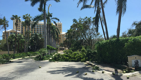 Debris blocks the entry to the Ritz-Carlton Key Biscayne.