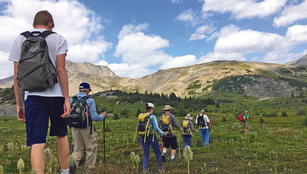In addition to dramatic high-country views, the hikes wound through bucolic meadows where wildflowers were abundant. In addition to dramatic high-country views, the hikes wound through bucolic meadows where wildflowers were abundant.