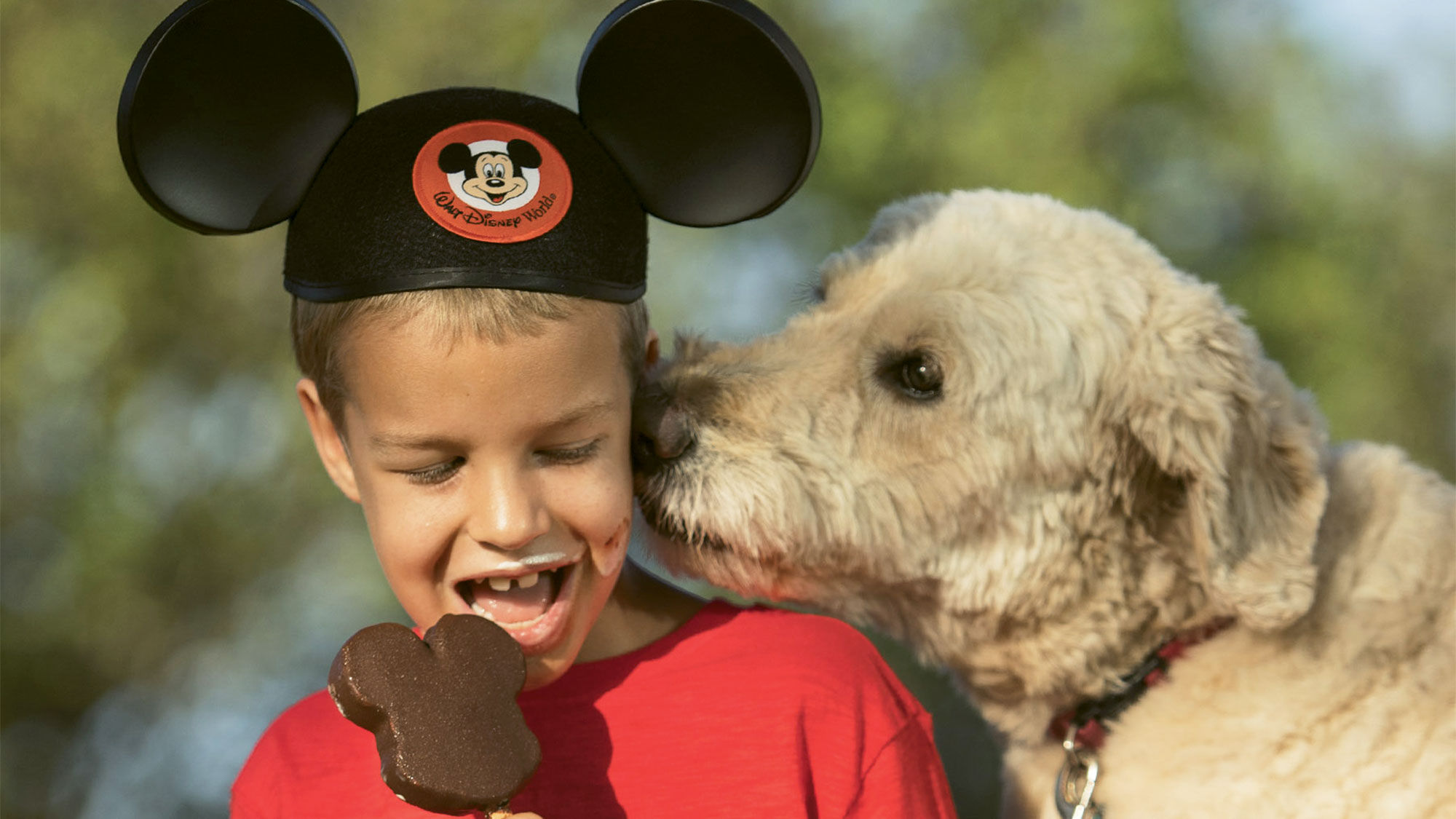 Four Disney hotels welcoming canine guests