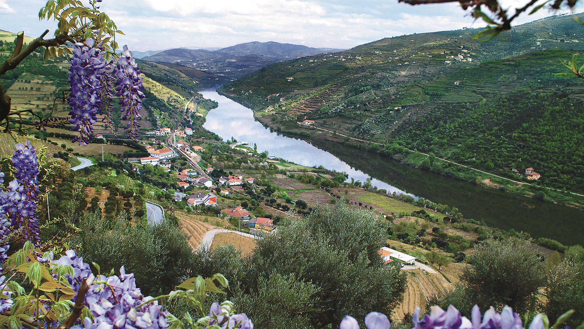 AmaWaterways has numerous wine-themed cruises through Portugal's Douro River Valley.