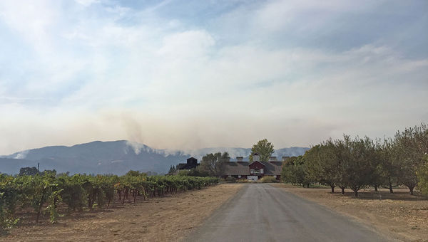 Smoke from the Nuns Fire in eastern Sonoma billowed behind Napa's Frog's Leap Winery.