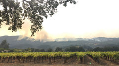 Travel Weekly's Michelle Baran traveled to the region on Oct. 16 to view the damage following last week's wildfires in Napa and Sonoma counties. Fire crews worked to contain the 53,000-acre Nuns Fire as it blazed behind some of Napa's most famous wineries such as Robert Mondavi and Beaulieu.