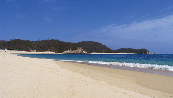 The beach at Bahia San Agustin in Oaxaca is a tranquil spot with good snorkeling and vendors selling fresh ceviche and cold beer. The beach at Bahia San Agustin in Oaxaca is a tranquil spot with good snorkeling and vendors selling fresh ceviche and cold beer.