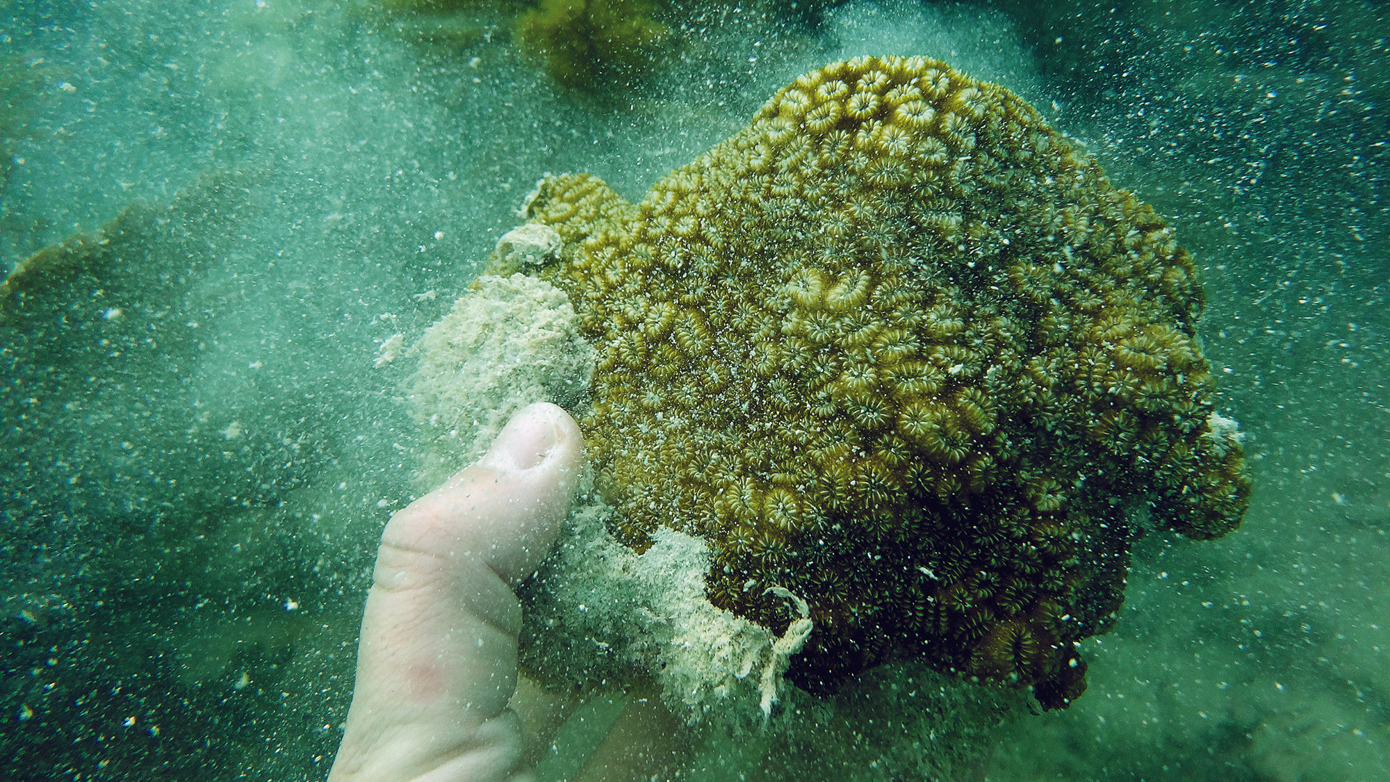 In an area of the Florida Keys National Marine Sanctuary, coral was broken and dislodged.