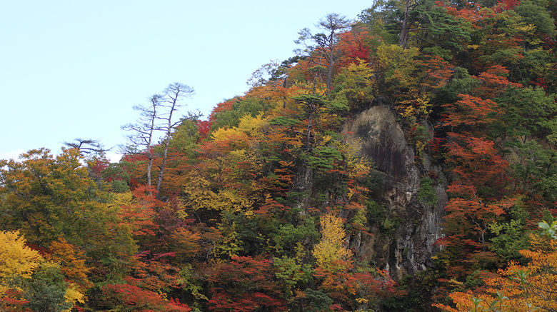 Destinations editor Eric Moya visited Japan last week on a fam trip showcasing fall foliage, hot springs and more in the Tohoku region. Pictured, fall foliage at the Naruko Gorge in Osaki.