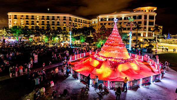 Sandi, the 35-foot tall white-sand Christmas tree, is the center of holiday activities in West Palm Beach. Sandi, the 35-foot tall white-sand Christmas tree, is the center of holiday activities in West Palm Beach.
