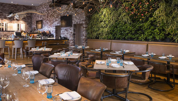 Herringbone, from The Hakkasan Group and Top Chef alum Brian Malarkey, opened at the International Market Place in August Herringbone, from The Hakkasan Group and Top Chef alum Brian Malarkey, opened at the International Market Place in August