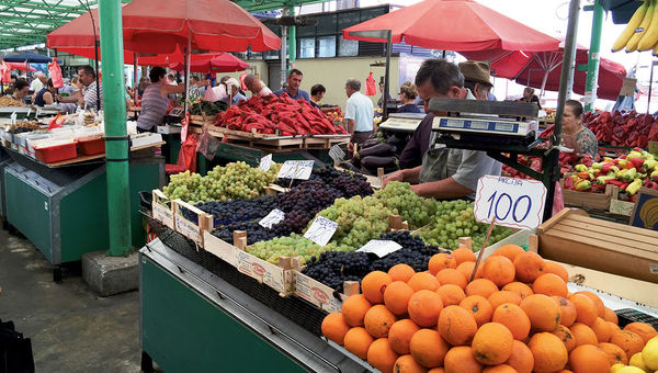 A farmers market in Belgrade offers fresh fruit at unbeatable prices. Belgrade also has many museums and a thriving nightlife scene. A farmers market in Belgrade offers fresh fruit at unbeatable prices. Belgrade also has many museums and a thriving nightlife scene.