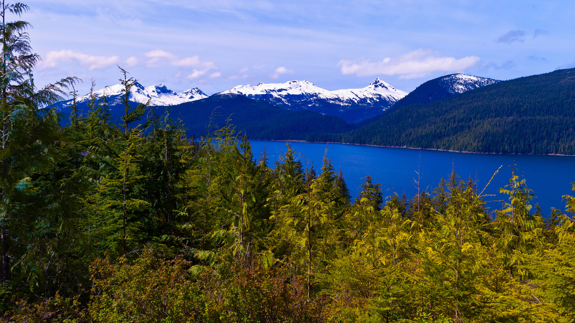 Tongass National Forest in Wrangell, Alaska.