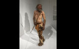 The Bolzano Archeological Museum houses the skeletal remains of Otzi The Iceman -- the oldest human remains in the world. The 5,300-year-old Otzi was preserved in glacier ice until discovered in South Tyrol in 1991. The museum also has this statue depicting what Otzi might have looked like.