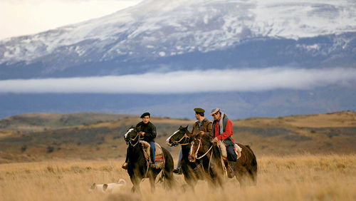 Sheep farms, where gauchos live an age-old way of life, are still big business in Southern Patagonia. Sheep farms, where gauchos live an age-old way of life, are still big business in Southern Patagonia.