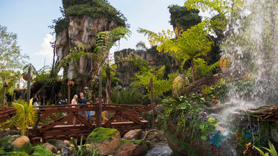 Pandora -- The World of Avatar at Disney's Animal Kingdom.