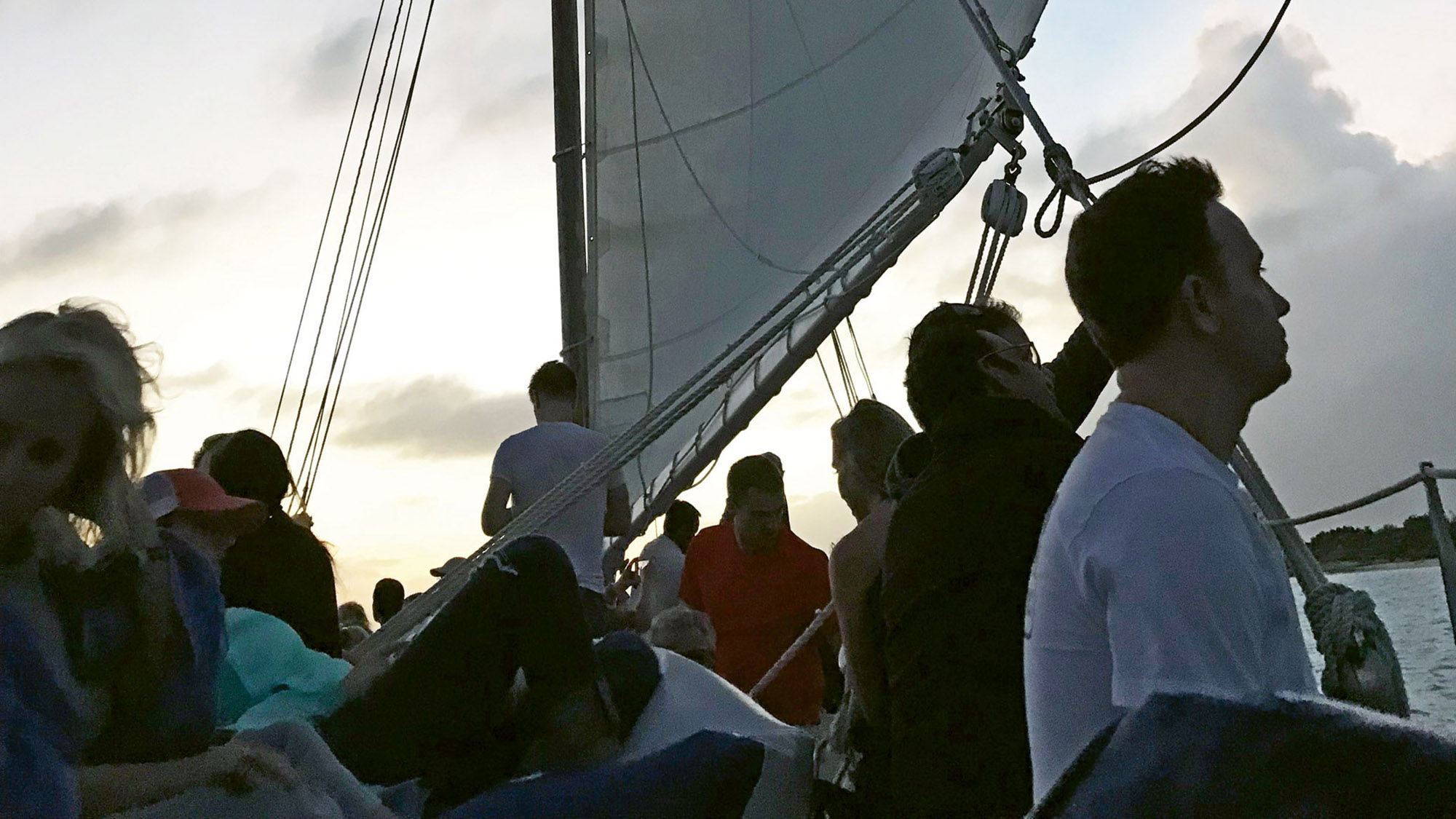 Ahoy, mating! Birds, bees and worms on yacht excursion
