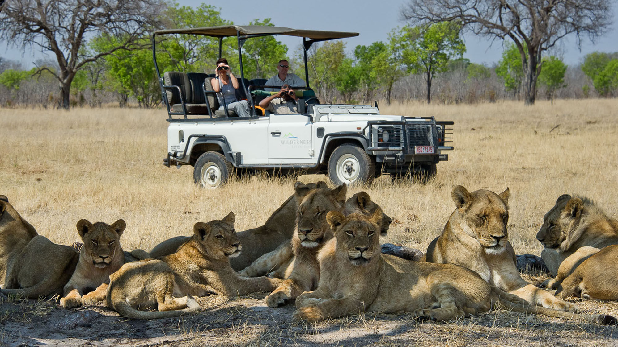 Davison's Camp in Hwange National Park makes an ideal home camp for game drives to spot the big cats.