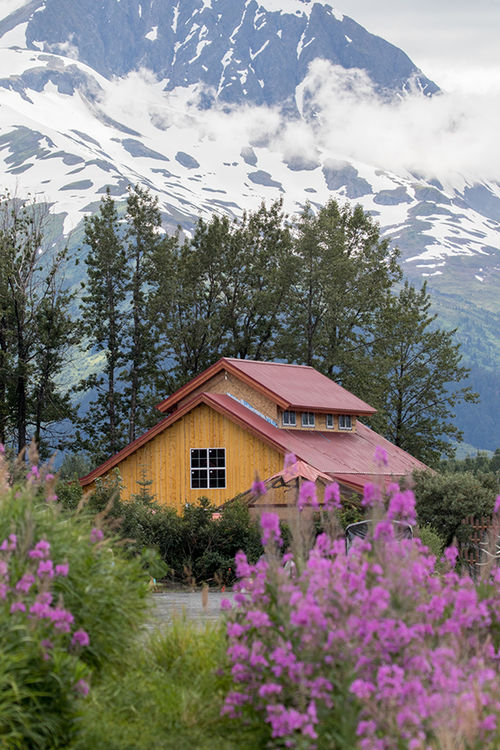 The Alaska Wildlife Conservation Center in Portage recently opened its Bison Hall education and events facility. The Alaska Wildlife Conservation Center in Portage recently opened its Bison Hall education and events facility.