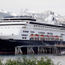 Tour ops talk cruise demand, winter uptick