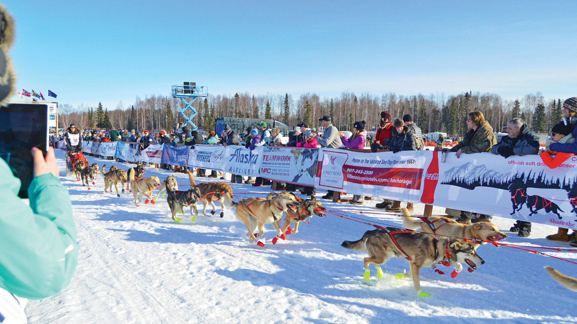 Sled dogs and the Iditarod race feature prominently in Salmon Berry Travel & Tours’ packages for 2018.