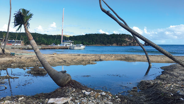 The beach at Bolongo Bay in St. Thomas several weeks after the hurricanes. The beach at Bolongo Bay in St. Thomas several weeks after the hurricanes.