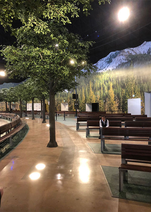 Carnival's new Long Beach Terminal features artificial trees and a large cut-out display of a California mountain. Carnival's new Long Beach Terminal features artificial trees and a large cut-out display of a California mountain.